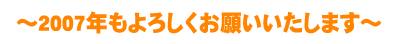`2007N낵肢܂`