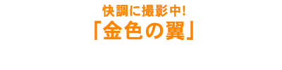 F̗